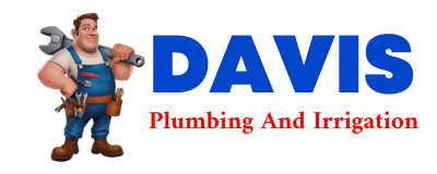 Trusted plumber in LA VILLA